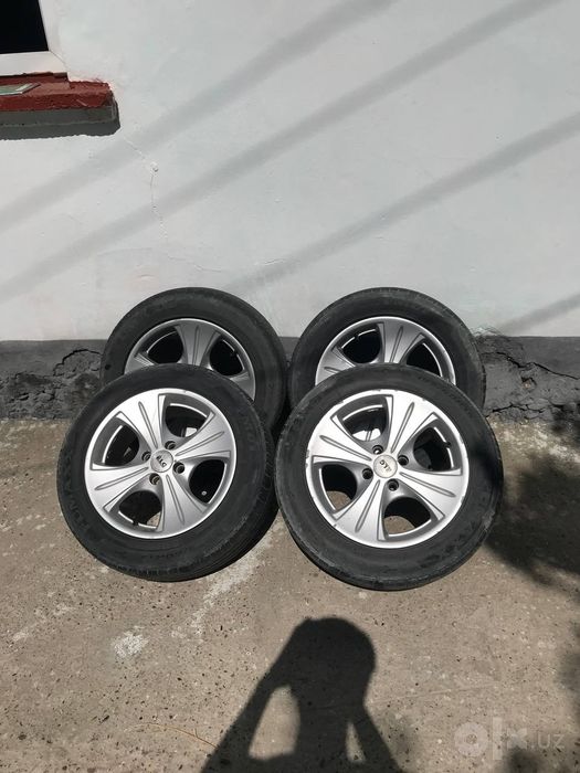 Neksiya kobilt lasetiga tushadi