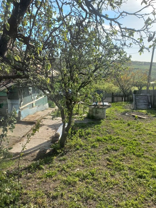 Casă de vânzare com P