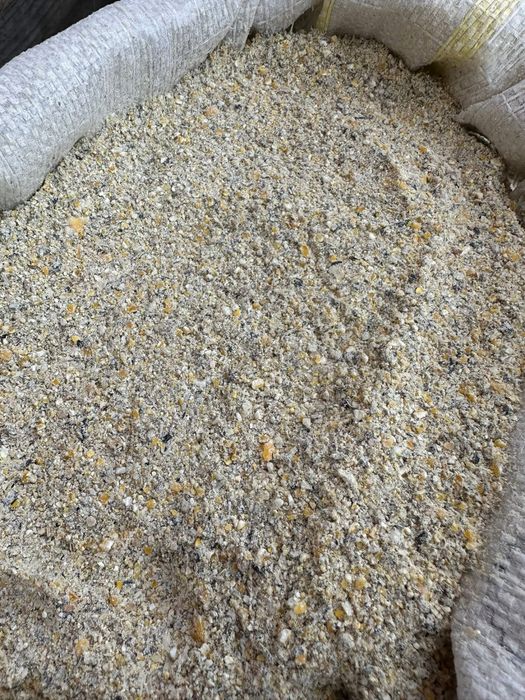 Cereale / Furaje de vanzare