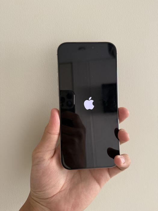 iphone 16 pro max идеал