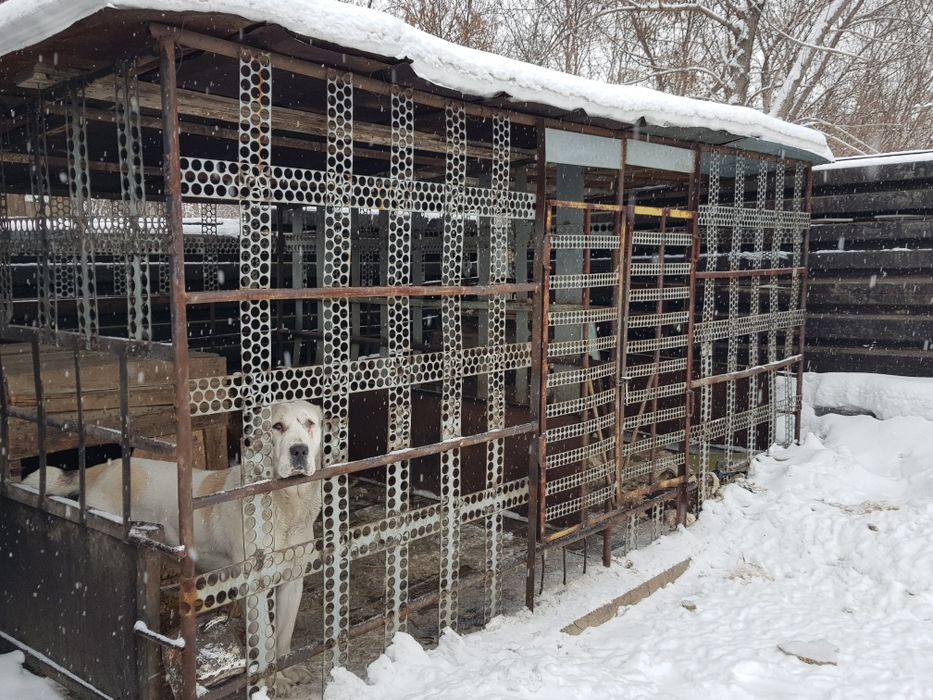 Продаются вольеры