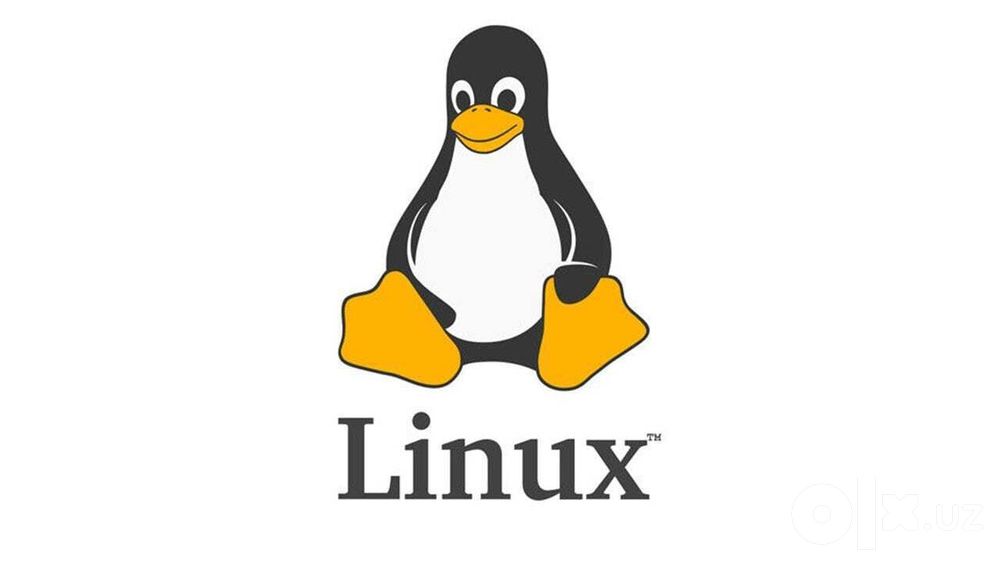 Ремонт Установка Windows LINUX