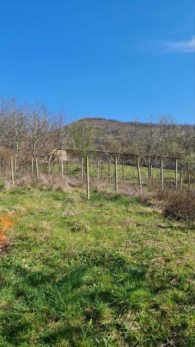 Продава се Парцел в Велико Търново, Бузлуджа - 1290 кв.м за 28 €/кв.м - Снимка #5