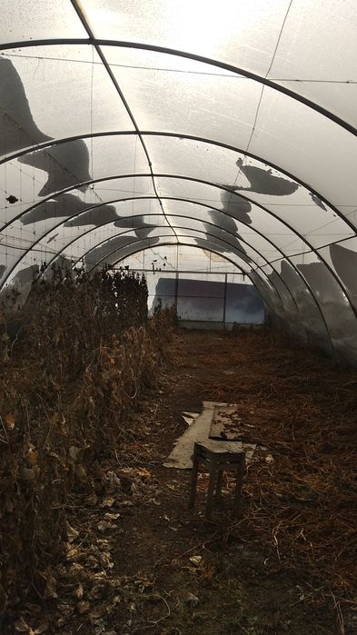 Теплица 22метра на 8метра