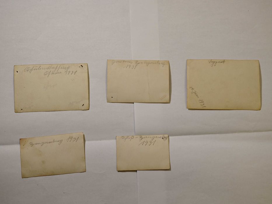 Lot Uriaș 51 Fotografii Vechi Germane - Viața de Familie Anii '20-'30