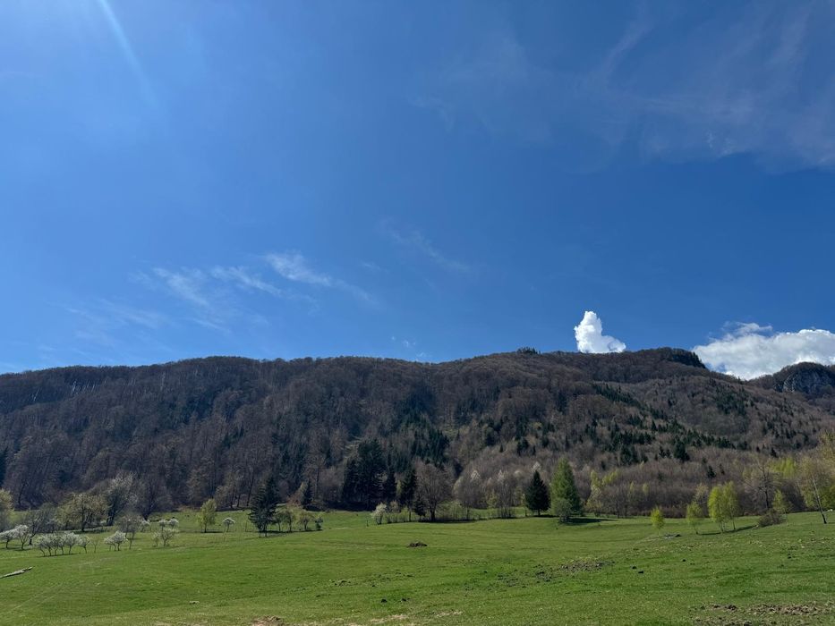 Teren Bran Predelut la poale de munte intravilan