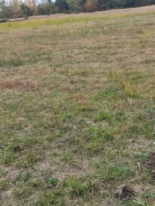 Продавам ливада 2,400 кв, с. Дунавци, общ. Казанлък, обл Стара Загора