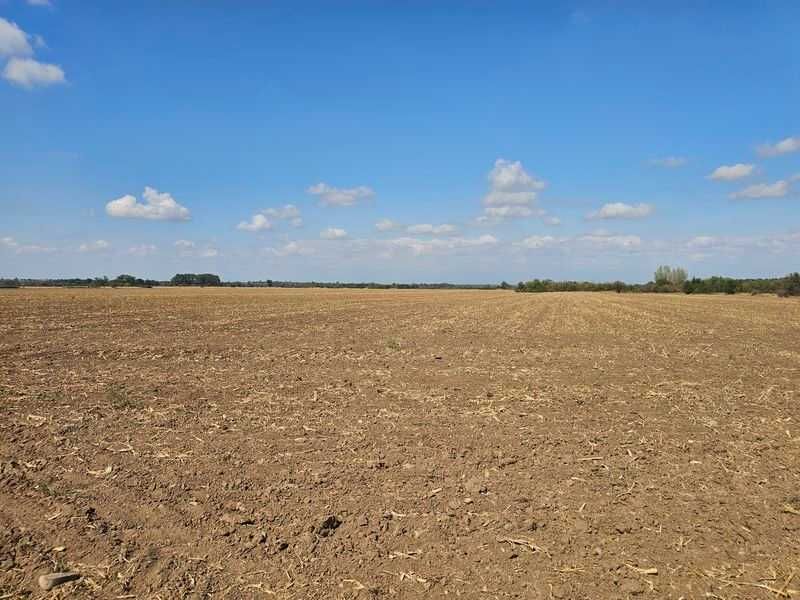 Продава се Земеделски имот в с. Боянци, Област Пловдив -  кв.м за 28 €/дка - Снимка #8