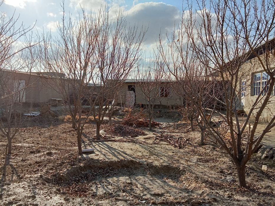 Hovli sotiladi 8 stuk