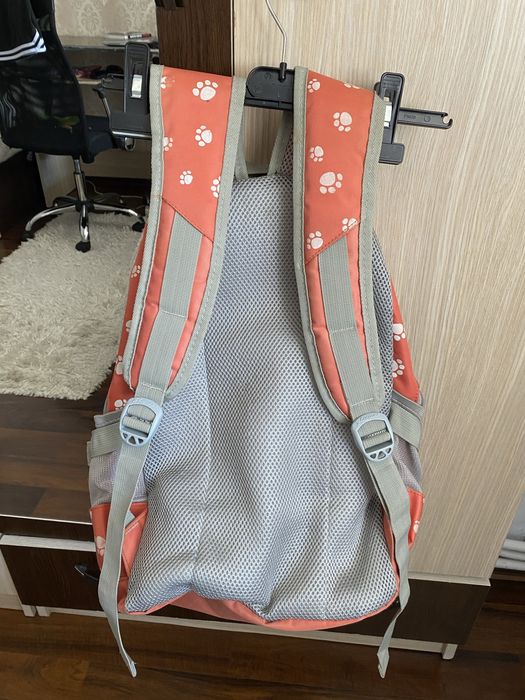 Ghiozdan pentru scoala