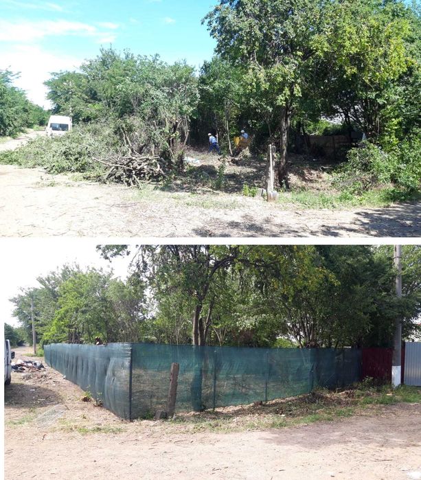 Curatare teren, cosire, defrisare, tocare vegetatie crengi, erbicidare