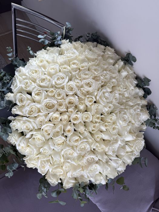 151 роза метровая