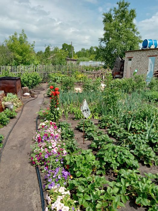 Продам дачу 6,5 соток