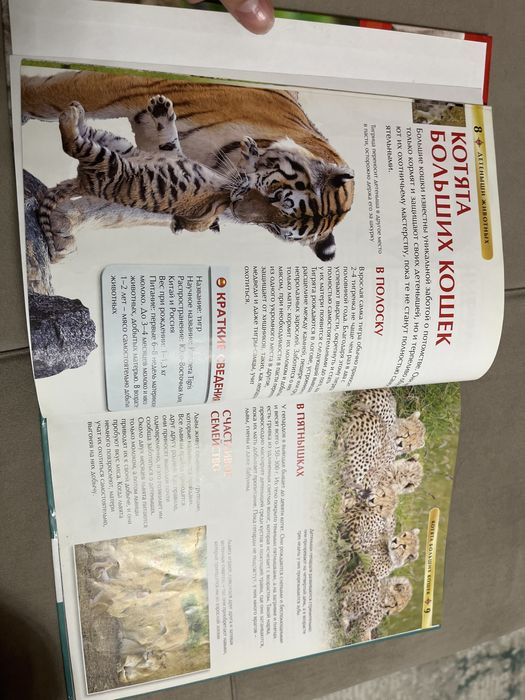 детская энциклопедия