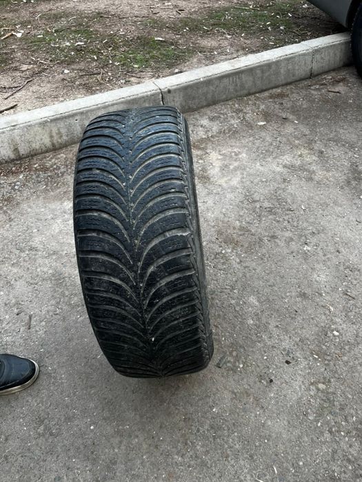 Толық қанды жүруге болады .