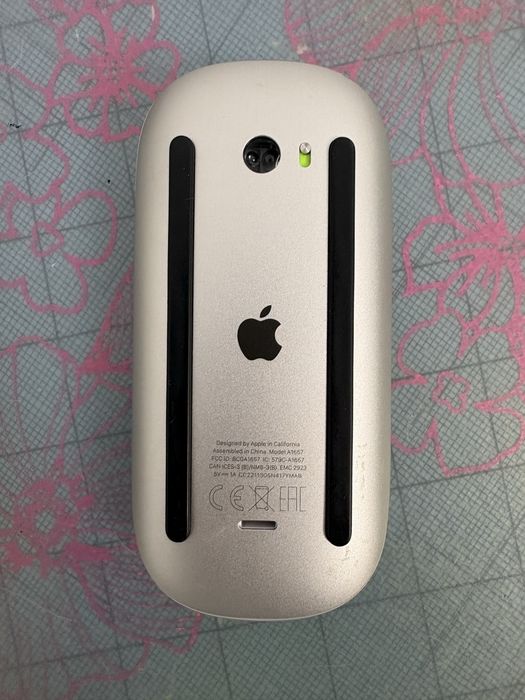 Apple magic mouse 2