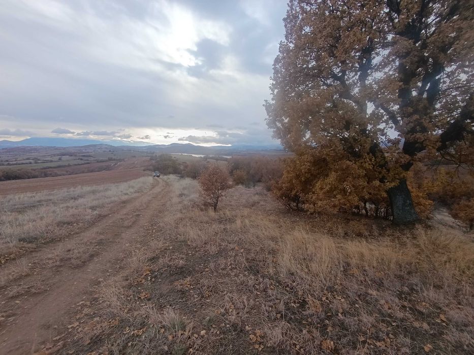 Продава се Земеделски имот в Благоевград, Еленово 2 -  кв.м за 2805 €/дка - Снимка #3