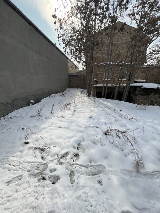 Американский пасольствада 6сотих йер