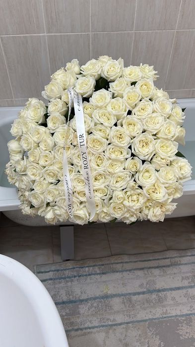 Свежий метровый ақ роза