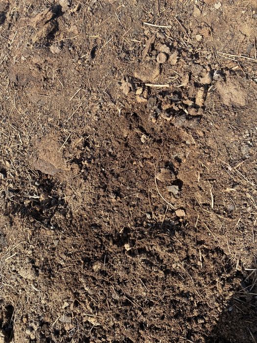 Новоз сатылады