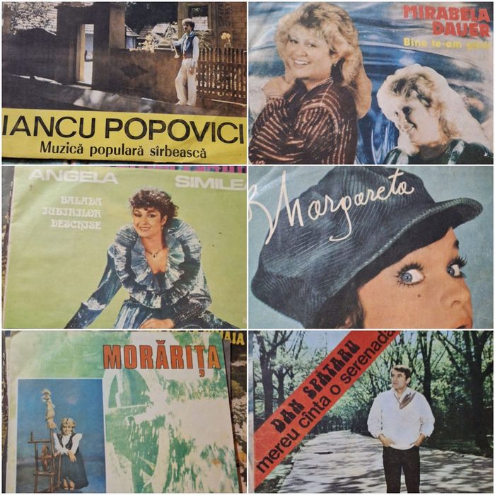 Discuri vinil interpreți români