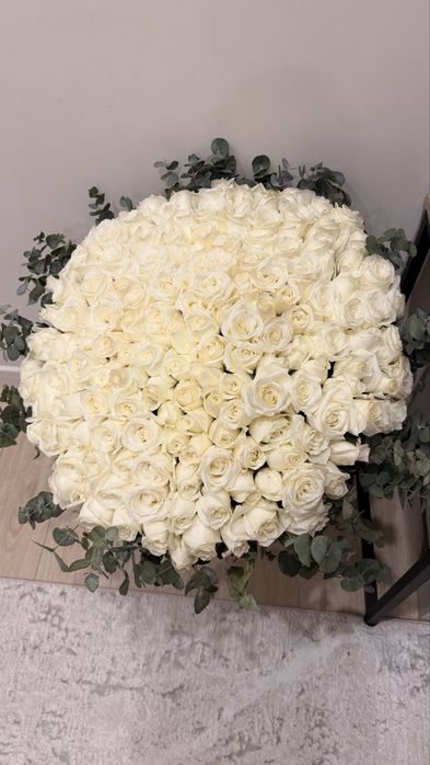 151 роза метровая