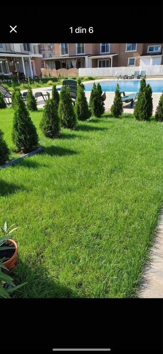 Gazon Verde în Orice Sezon