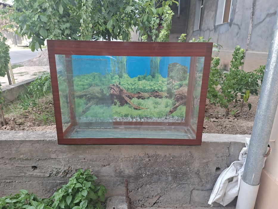 Akvarium sotiladi arzon