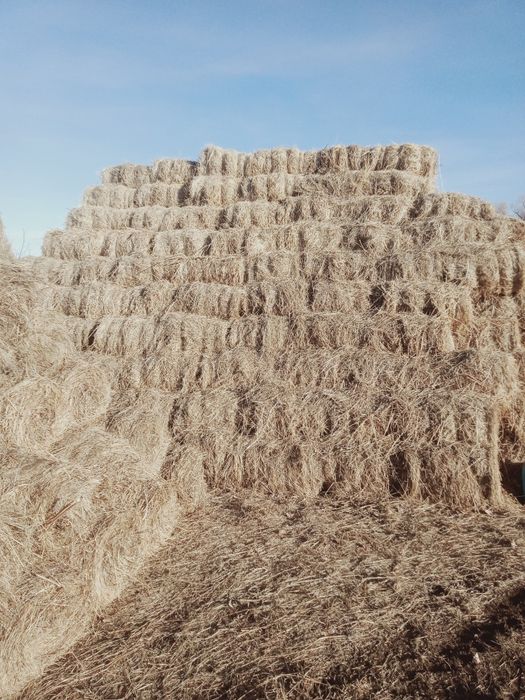 Продам мини рулоны по 20 кг