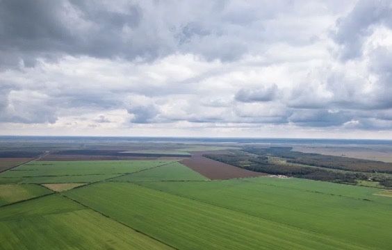 Vand 1ha teren agricol in Bordusani Ialomita
