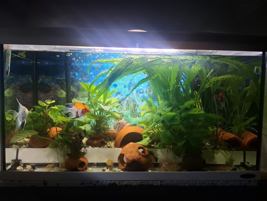 Продавам два  Аквариума