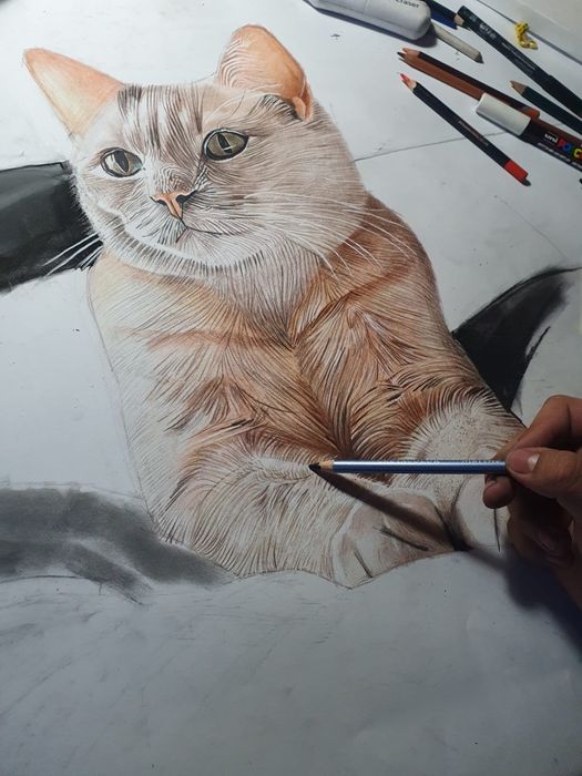 Fac portrete la comanda!