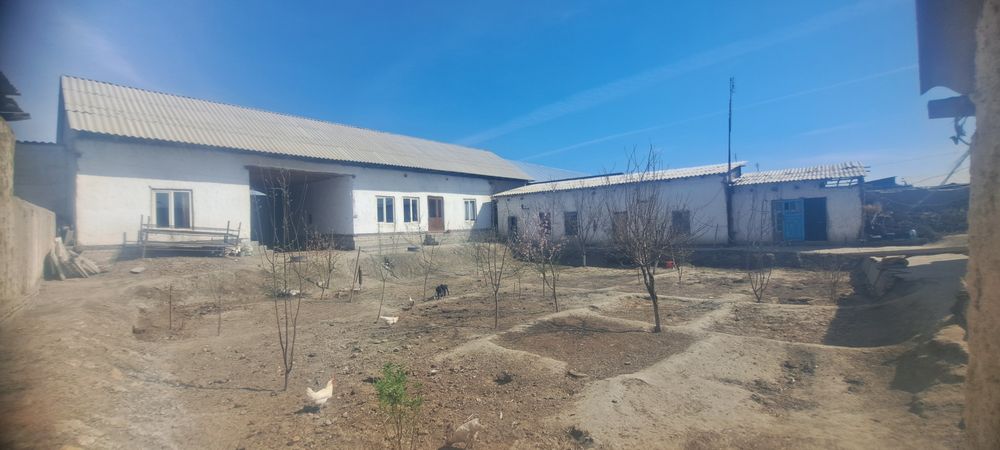 Ховли 8,7 сотик нархи 105000 минг доллир