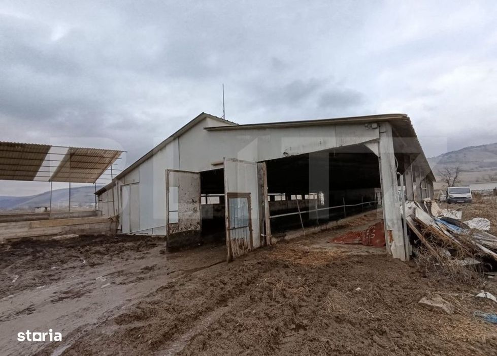 Teren - Grajd 6600Mp, Depozit, Hala Zona Blaj