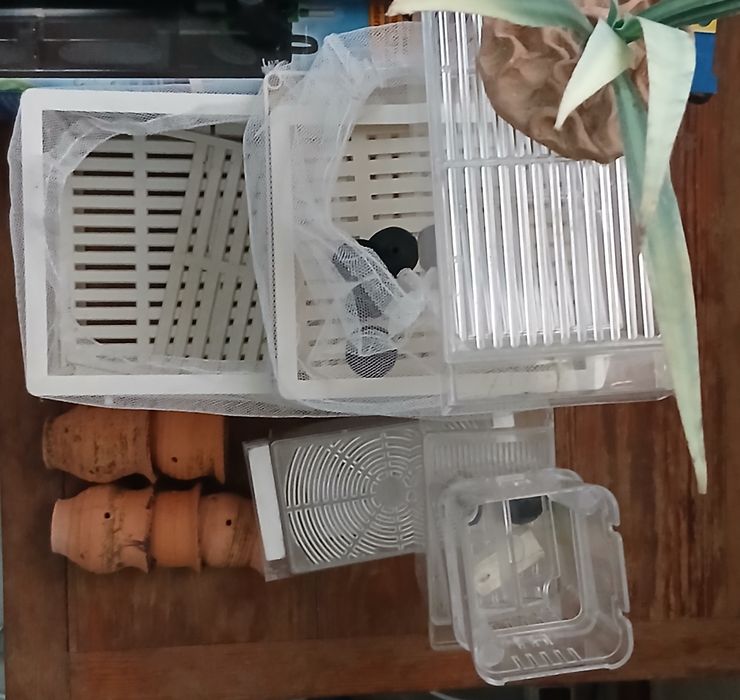 Всё для аквариума