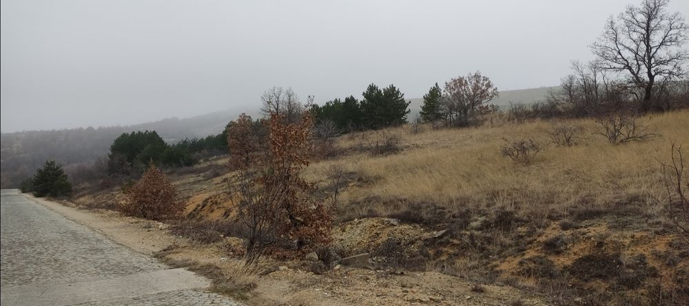 Продава се Земеделски имот в с. Елшица, Област Пазарджик -  кв.м за 561 €/дка - Снимка #6