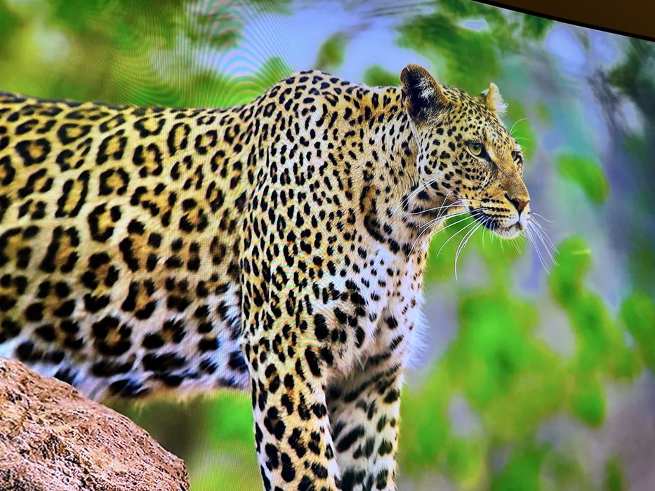 TV Samsung LED Curbat 55MU9002, Smart TV, 138 cm, 4K Ultra HD