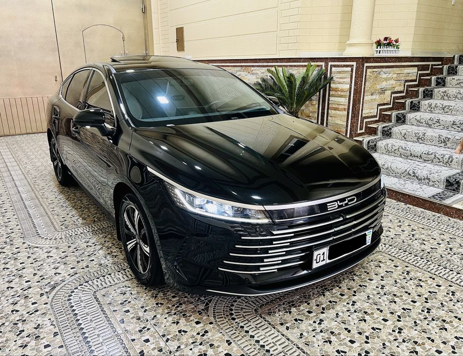 BYD Chazor 120 tali kraska Toza