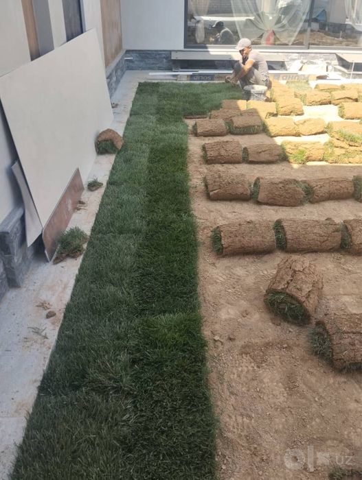 Gazon ekish barcha turdagi lanshaft xizmati