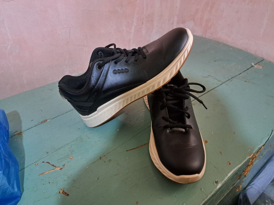 Xammasi bitta narhda