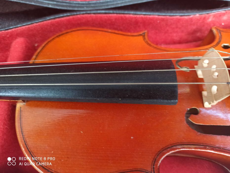 Цигулка 1/2 за деца