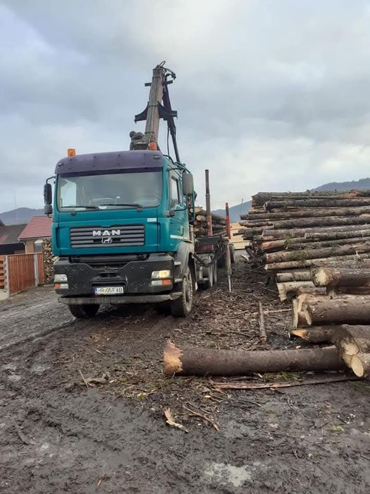 MAN Camion Forestier