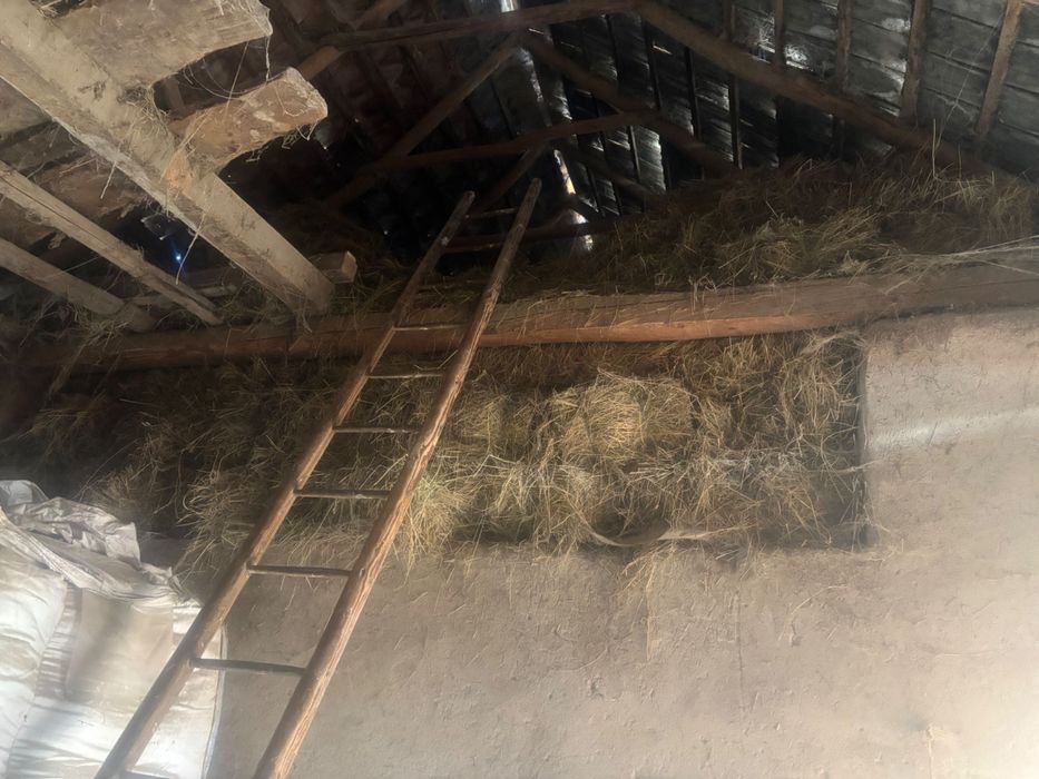 Vând baloți de fan dreptunghiulari