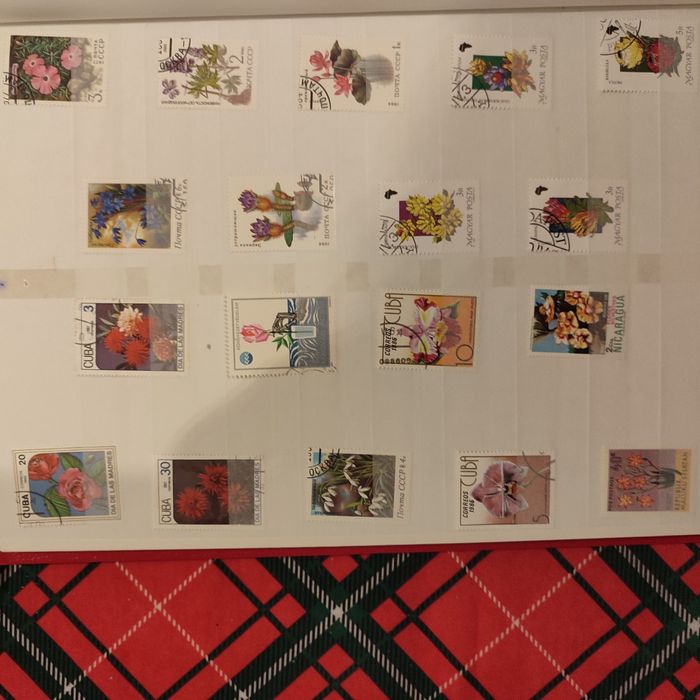 Clasor timbre cu tematica flori