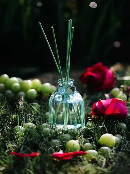 Освежитель воздуха INSOULWAY для дома и офиса, диффузор с палочками