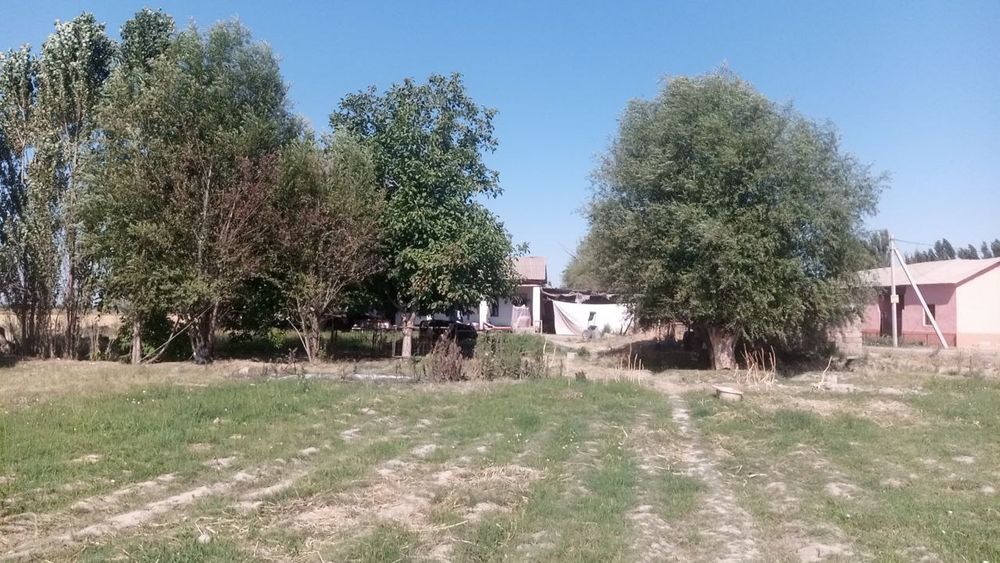 15 sotix yer sotiladi