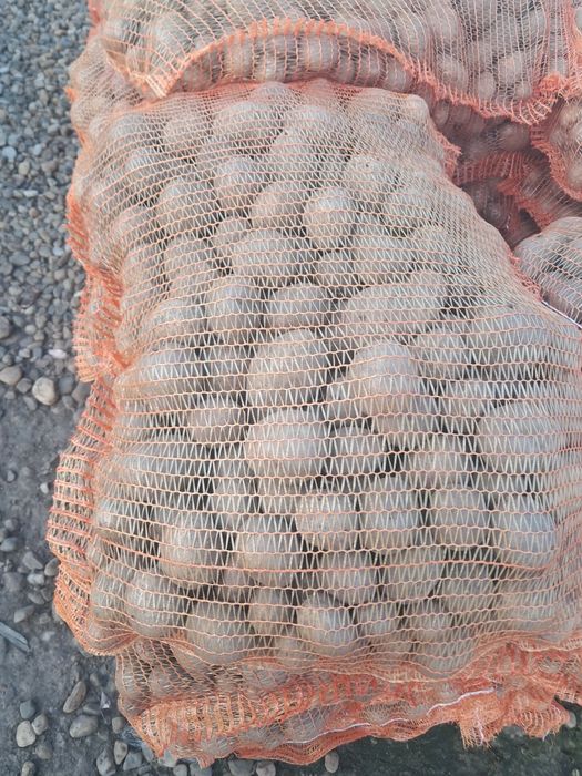 Cartofi de samanta elita