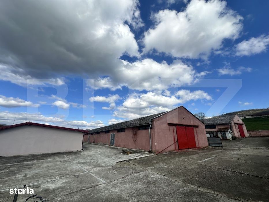 Parc Industrial Barsau (Hale-Birouri-Apartament De Locuit-Curte Genero
