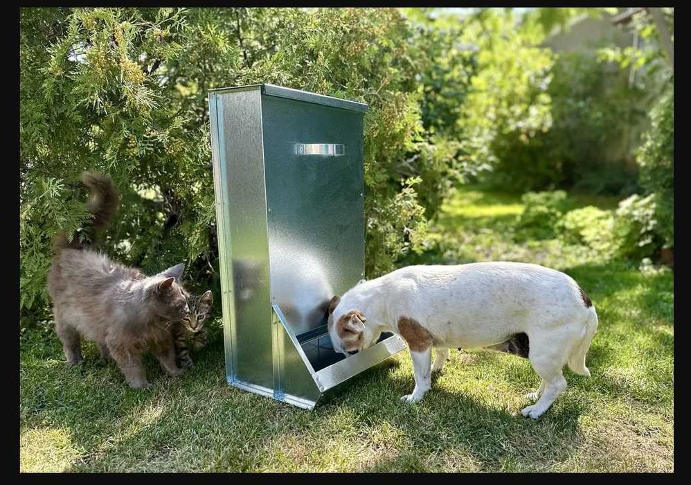 Хранилка за кучета