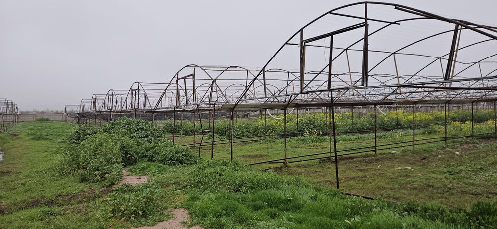 теплица 3 гектар жой ижарага берилади
